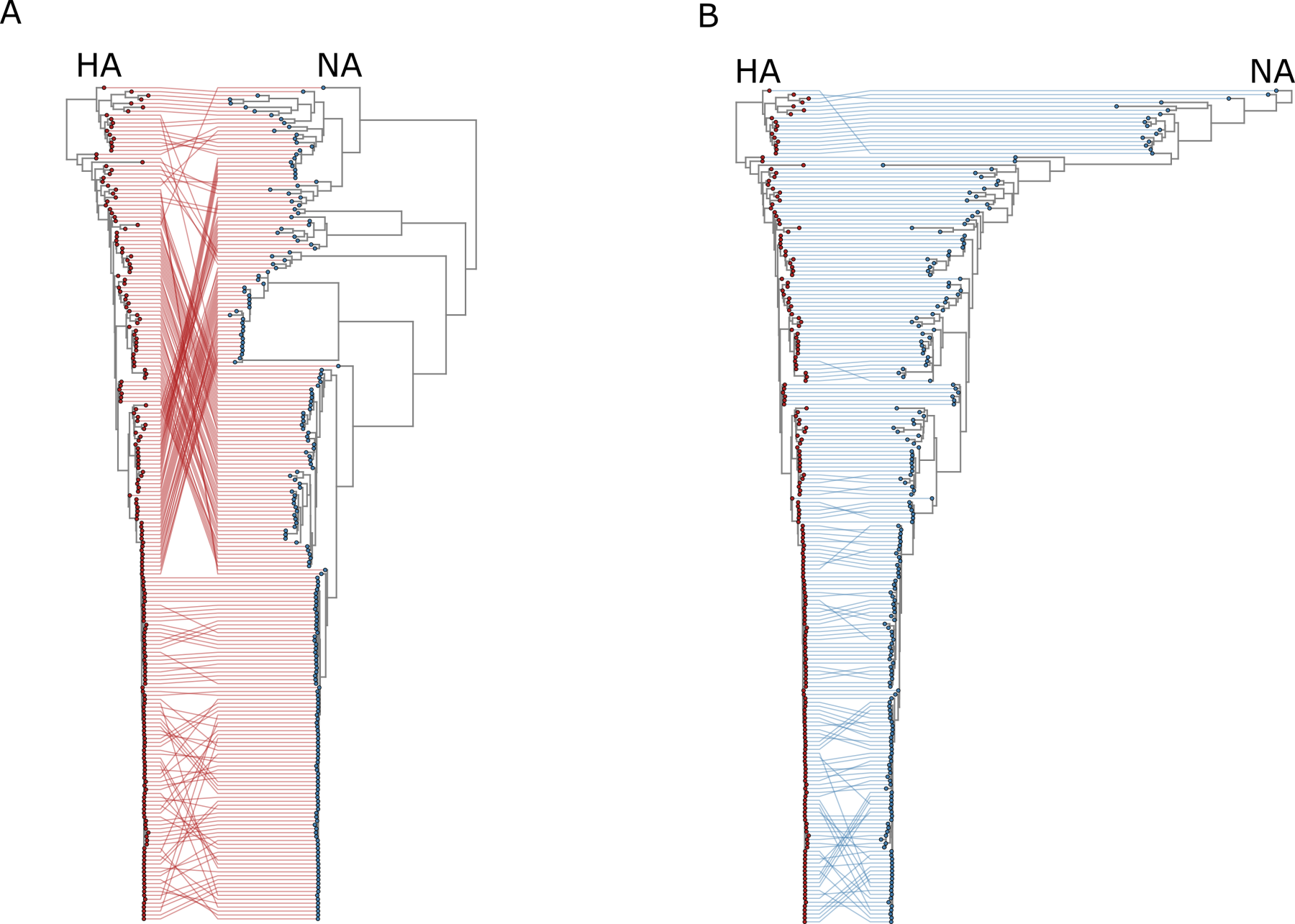 Tanglegram of influenza genes